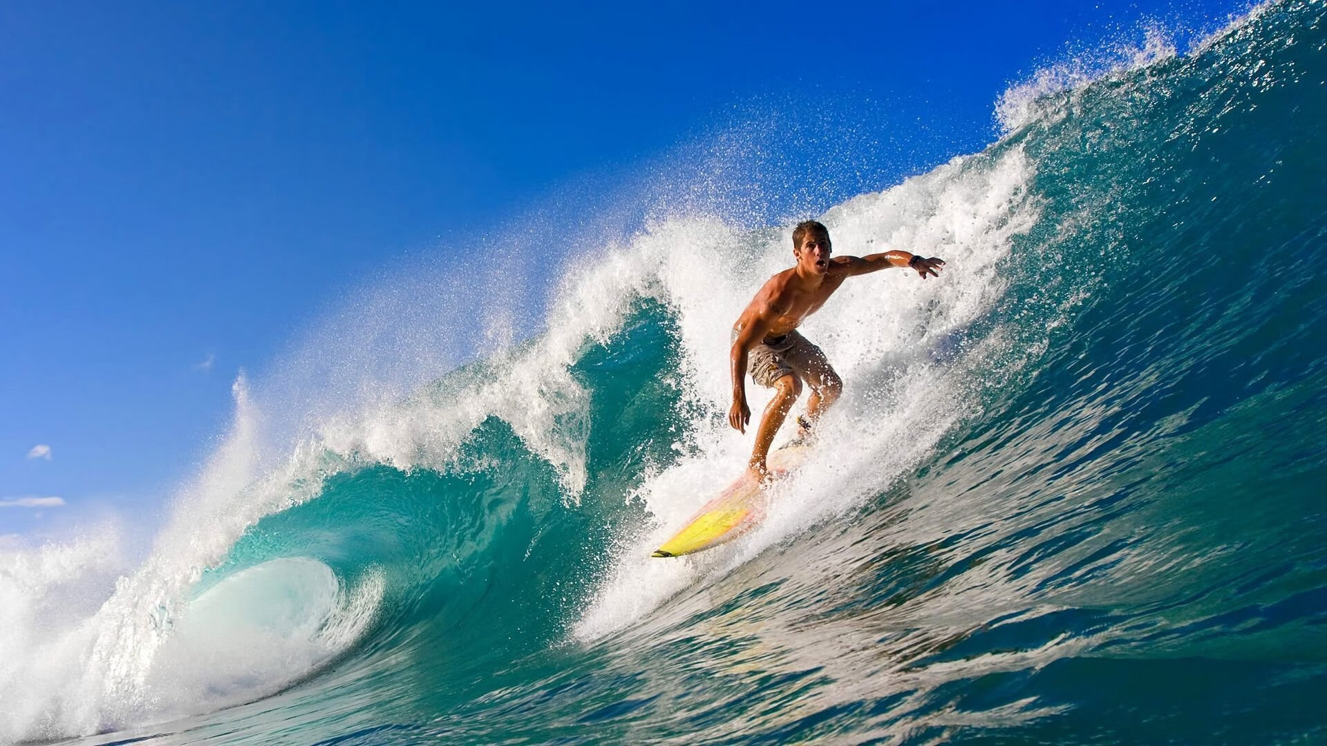 美国骑手斯蒂芬·彼得斯在巴黎奥运会上代表美国队参赛,尽管未能获得奖牌,但展现了丰富经验。